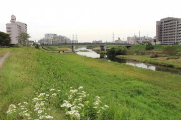 A beautifully spacious place for rests and picnics