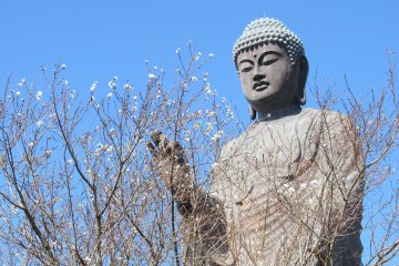 The Miracle of Amida Buddha