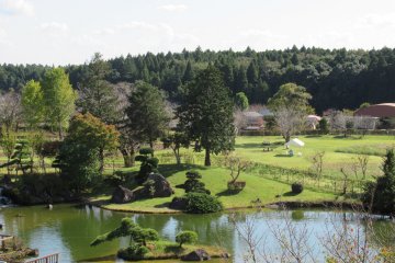 The garden