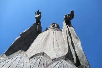 Looking up