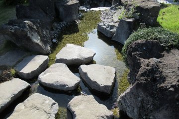 Another part of the garden 