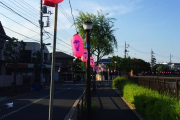 Follow the lanterns