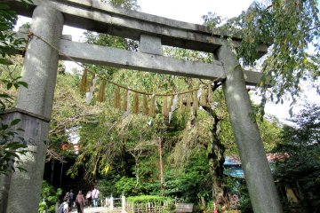 Another torii at the start of the way up