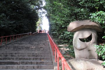 A challenging ascent