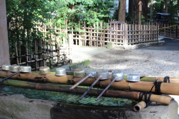 A purification basin