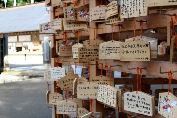 Ema - wooden plates with wishes