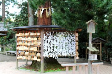 A common sight at a Shinto shrine 