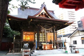 Lights of the shrine