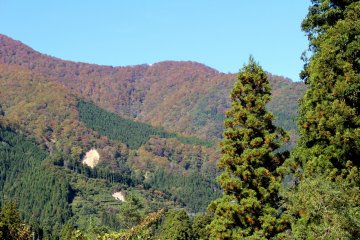 Nine Days in Miyagi - Part 3