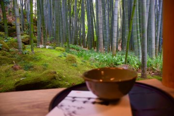 A small bamboo grove within the grounds of Houkoku-ji