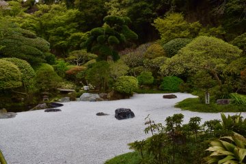 Stone and trees Japanese traditional garden