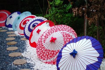 Vibrant parasols
