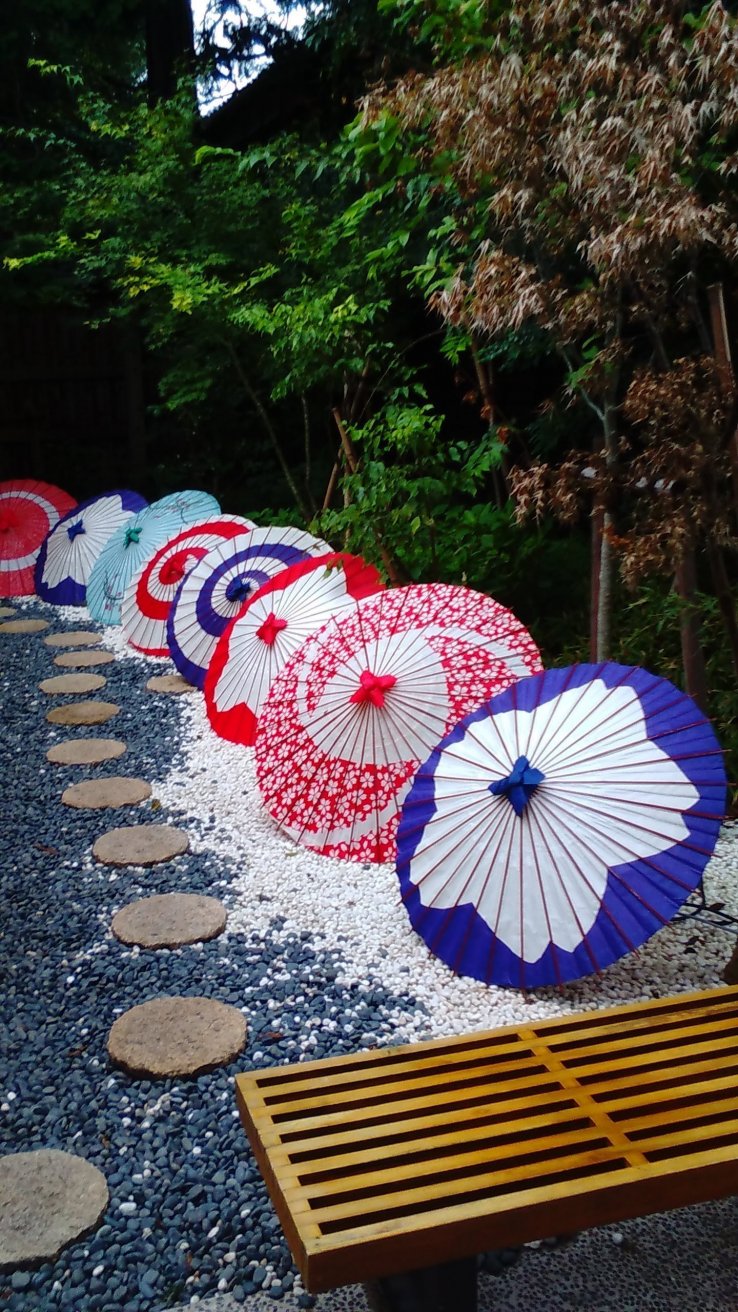 Vibrant parasols