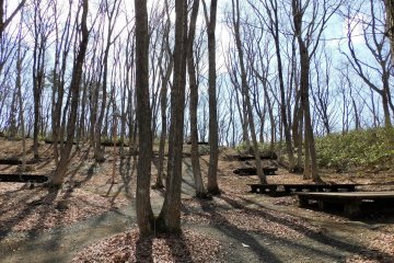 Senganishi Forest Park campground