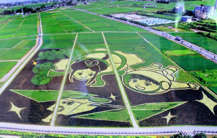 The 2015 display that won the Guinness World Record