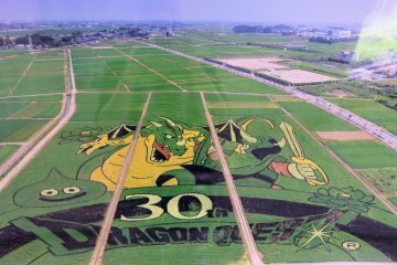 Dragon Quest 