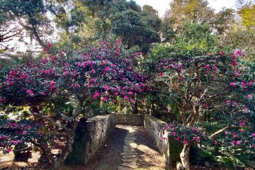 Walking up to a 'kominka' feels like you are entering the sacred grounds of a shrine