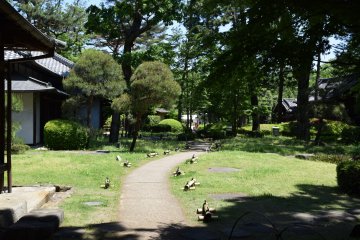 The path in the large backyard of Korekiyo Takahashi's residence (1902)