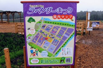 Ranzan Lavender Festival