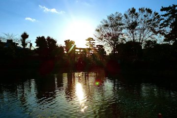 <p>Sunset of Tsurugaoka Hachimangu Shrine</p>