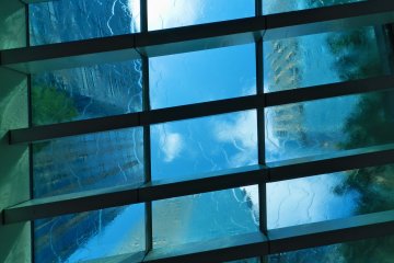 <p>...and below.</p>