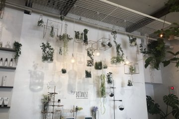 Botanist Tokyo