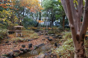 Serene landscaping within the park