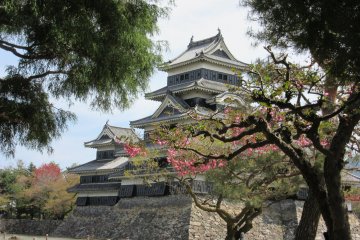 Karasu-jo in spring