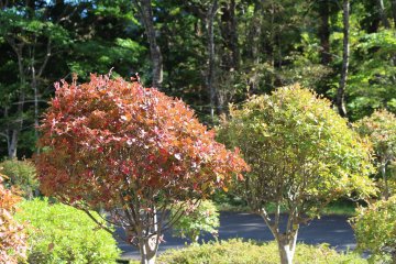 In October the trees start to change colours