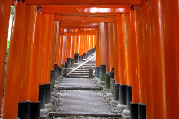 Torii of Fushimi Inari Taisha