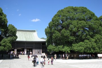 Meiji Jingu, Tokyo