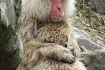 A mother