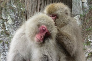 Cute!
