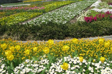 Public Park near Sumiyoshi Taisha