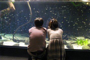 Watching together is a fun!