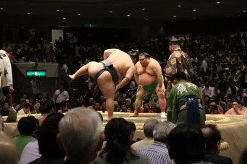 Shiko foot stomp