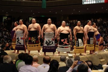 Panduan Sumo di Kokugikan 