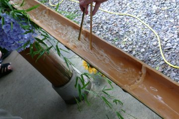 Somen noodles streaming down the bamboo tube