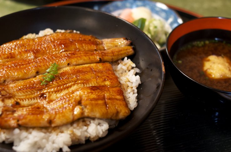 Succulent pieces of unagi over a bed of rice