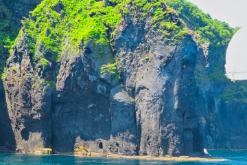 Zo (Elephant) Rock