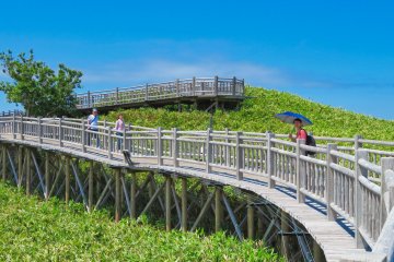 Elevated wooden path