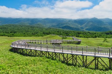 1.6 Kilometer round trip walking deck