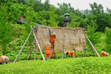 Prison Farmers