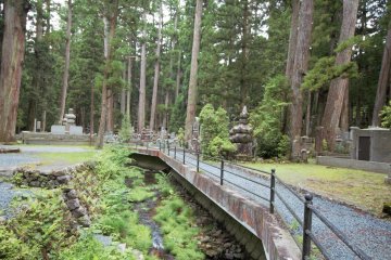 Forest path at Okuno-in