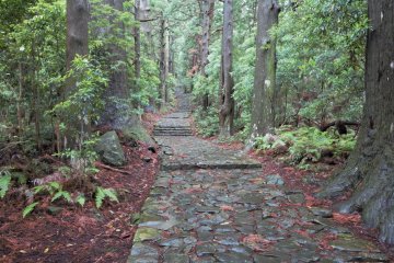 A pathway along Kumano Kodo