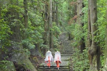 Daimon-zaka path in traditional kimono 
