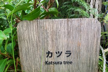 Signs indicate the different species of plants