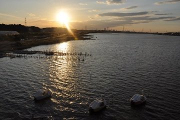 Teganuma Marsh in the evening 