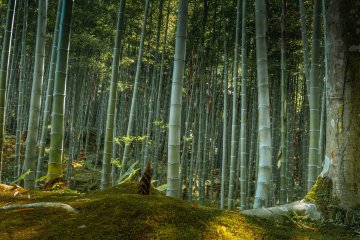 100 Soundscapes of Japan
