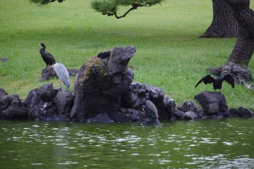The Sounds of Tokyo
